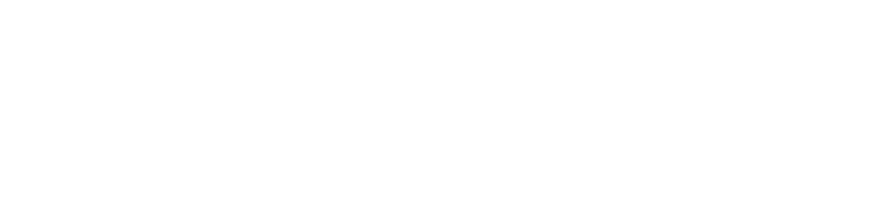 logo_ks_wh